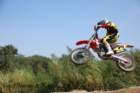 boket20110903370_small.jpg