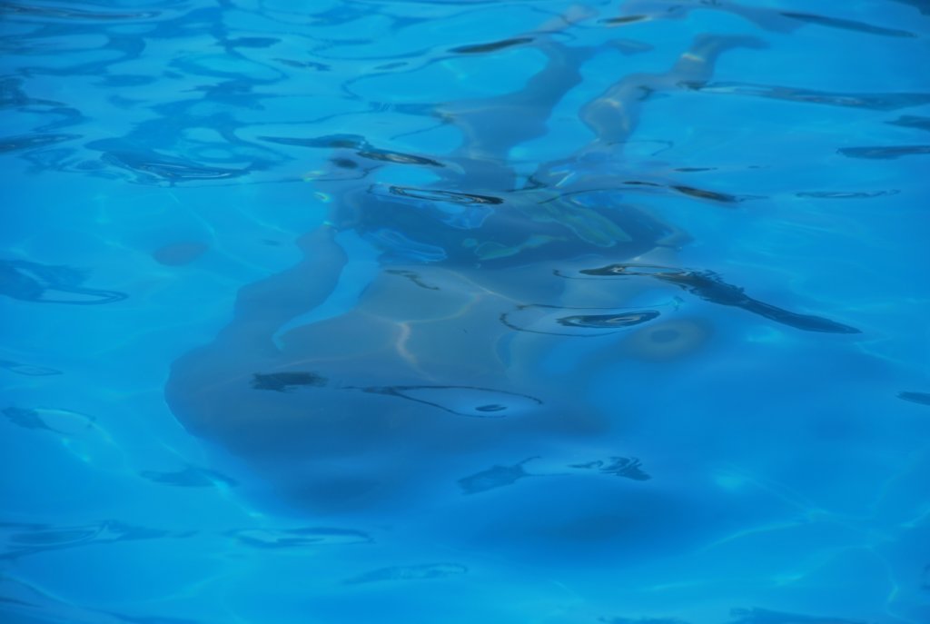 dsc_0117.jpg