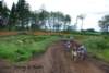 mxsydduveke20100620756_small.jpg