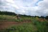 mxsydduveke20100620818_small.jpg