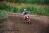 mxsydduveke20100620834_small.jpg