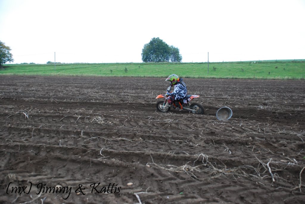 dsc_0601.jpg