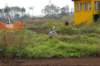 imgp2903_wm_small.jpg