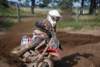 mxsydsaxtorp20100919665_small.jpg